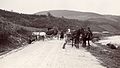Horse-drawn carriage, tarboosh, horse, coach, men, shore, carriage, dog, travelling, hillside, chariot Fortepan 76302.jpg