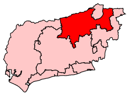 Horsham2007Constituency.svg