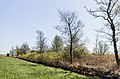 * Nomination Row of trees at the beginning of the Blokslootpolder, municipality De Fryske Marren in the Netherlands, --Agnes Monkelbaan 04:38, 27 June 2020 (UTC) * Promotion  Support Good quality. --XRay 04:41, 27 June 2020 (UTC)