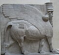 یک گاو بالدار در موزه لوور پاریس «آثار باستانی بین النهرین»