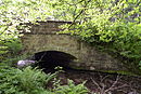 Ilme Bridge on the Speerberg