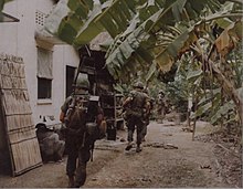 Company D, 4th Battalion, 12th Infantry patrol, 2 October 1968 Infantry patrol during Operation Toan Thang II, October 1968.jpg