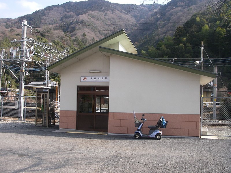 File:JR身延線 甲斐大島駅 - panoramio.jpg