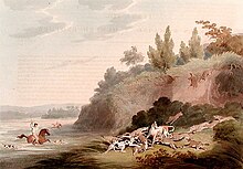 Hunting Jackals by Samuel Howitt, illustrating a group of golden jackals rushing to the defence of a fallen pack-mate Jackalhunt.jpg