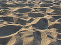Sand dune on a beach in Calabria.