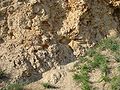 Steinerne Sonne, Naturdenkmal im Böhmischen Mittelgebirge