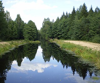 Kanal - Biarezinski zapavednik.jpg