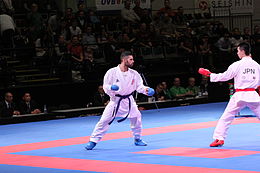 Karate WM 2014 586.JPG