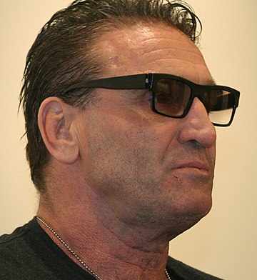 File:Ken Shamrock 2016 (cropped).jpg