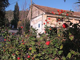 <span class="mw-page-title-main">Kiryat Anavim</span> Place in Jerusalem, Israel