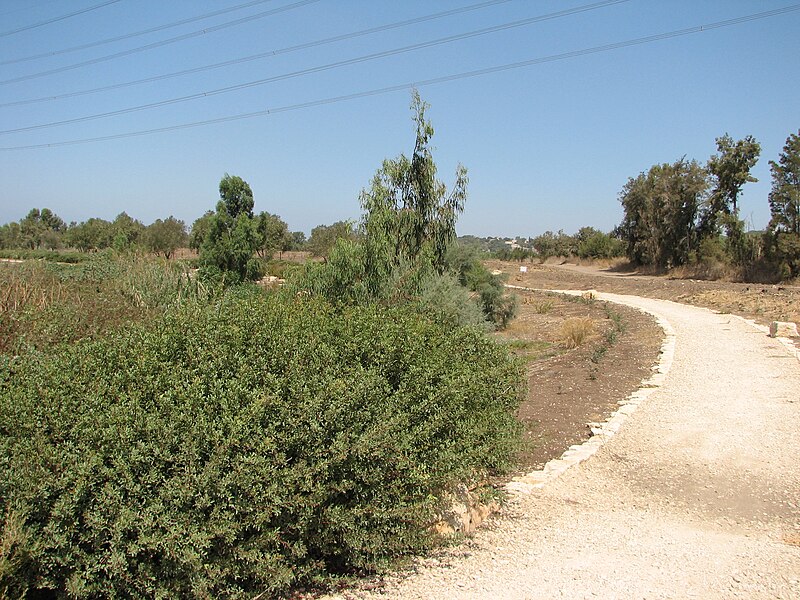 File:Kishon – The Valleys Park 021.JPG