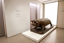 L'hippopotame de la Celeste Galeria dei Gonzaga