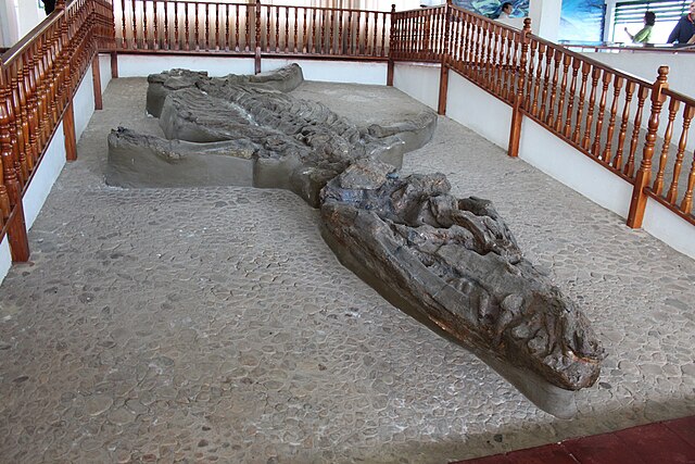 Kronosaurus