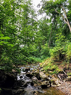 Kuglmühlbach near the confluence with the Starnberger See