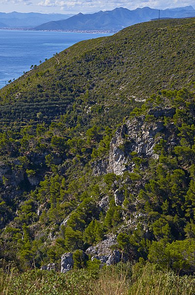 File:La collina sopra Varigotti - panoramio.jpg