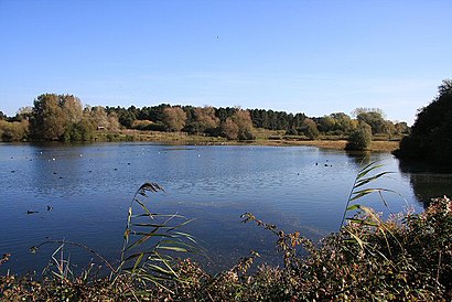 How to get to Lackford Lakes with public transport- About the place