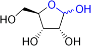 The lactol functional group, highlighted in blue, is present in many sugars such as ribose shown here. Lactol group in ribose.png