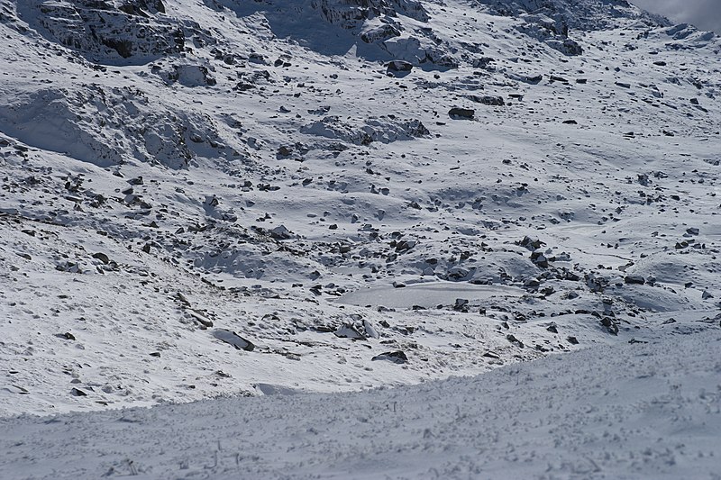 File:Lake Albina, Main Range Track, Kosciuszko National Park 11.jpg