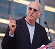 Larry David Zügeln Sie Ihren Enthusiasmus