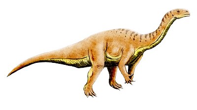 Leonerasaurus taquetrensis