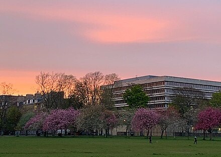 The Main Library viewed from The Meadows