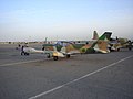 Aermacchi SF.260 training and light attack aircraft of the LPAF