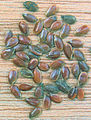 4. Linseed