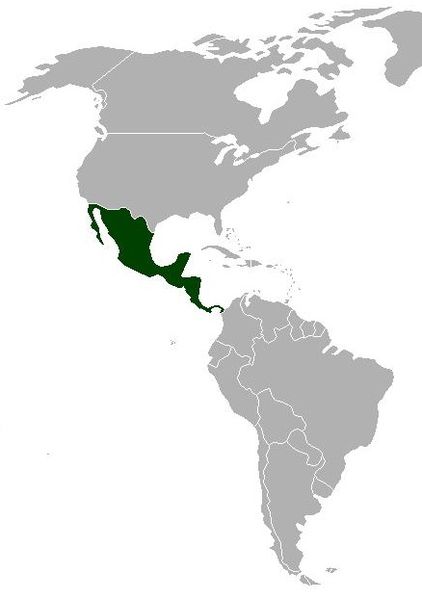 File:Location mexico in america.jpg