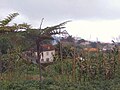 Madeira - Santana (2824552201).jpg