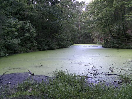 Maerchensee