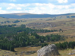 Le signal de Mailhebiau à gauche, le puy d'Alteteste (1 450 m) au centre et la montagne des Rajas (1 400 m) à droite vus depuis le Moure de Legue (1 353 m).