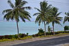 The main highway on Savaii