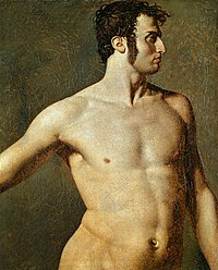 Male torso ingres.jpg