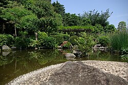 万葉植物園 (市川市)