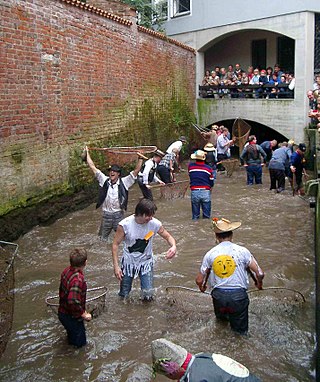 <span class="mw-page-title-main">Fischertag</span> Festival held in Memmingen, Germany