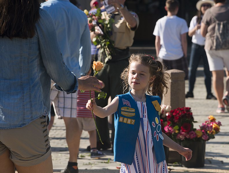 File:Memorial Day in Arlington National Cemetery 2015 (17468633313).jpg