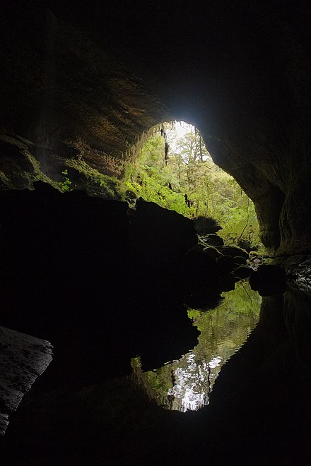 Ananui Creek entrance Metro Cave Te Ananui Cave entrance with reflection in water.jpg