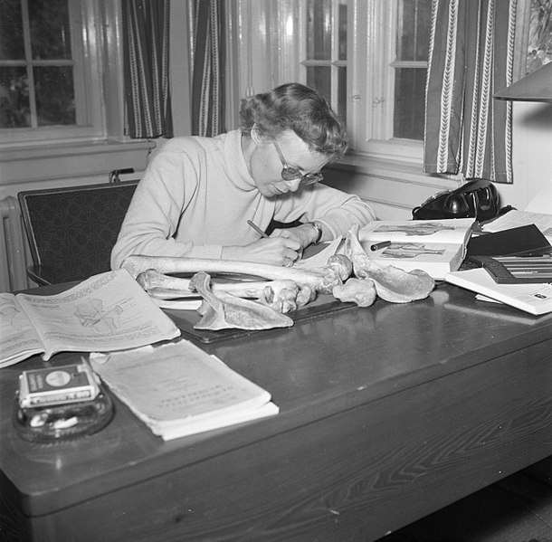 File:Mevrouw Svendsen schrijvend aan een bureau waarop boeken en botten liggen, Bestanddeelnr 252-8750.jpg