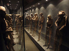Mummies at the Museo de las Momias