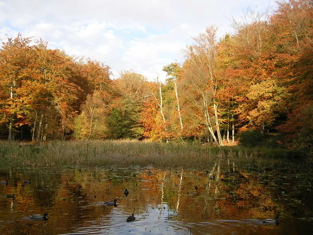 Middle Pond