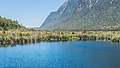 * Nomination Mirror Lakes in Fiordland National Park, New Zealand. --Tournasol7 06:18, 17 April 2019 (UTC) * Promotion  Support Good quality. --Eatcha 09:22, 19 April 2019 (UTC)
