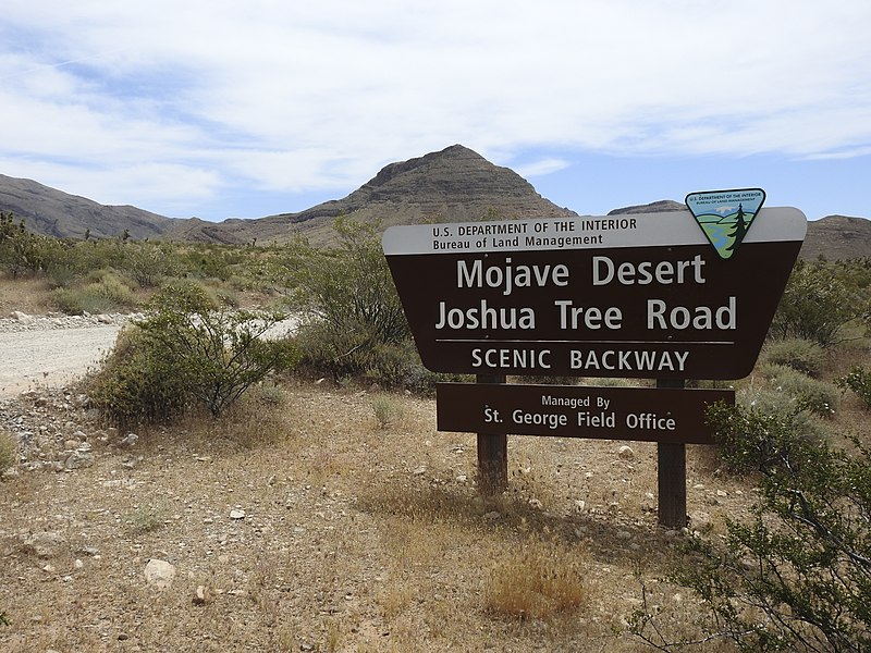 File:Mojave Desert Joshua Tree Road Sign.jpg
