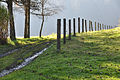 English: Cart track and fence Deutsch: Feldweg und Zaun