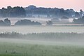 Morgennebel im NSG Oberalsterniederung * Wiki Loves Earth 2021/Deutschland
