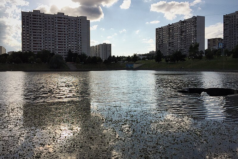 File:Moscow, Maly Chertanovsky Pond (31330936252).jpg