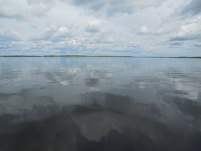 File:Motorboat by Verkhnaya Dvina, Kotlas - Toima - panoramio (220).jpg