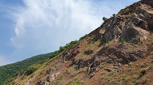 220. Chatkal biosphere reserve author - Xabibulla Muxamedov