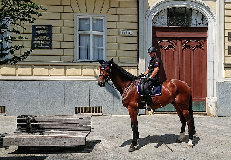 File:Mounted Police Slovakia 1 20180620 Version 2.jpg