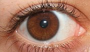 Μικρογραφία για το Χρώμα ματιών