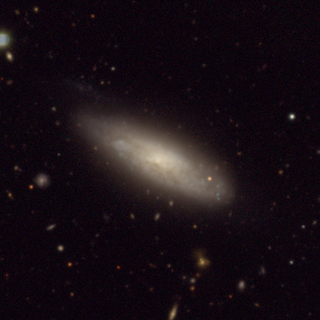 <span class="mw-page-title-main">NGC 131</span> Spiral galaxy in the constellation of Sculptor